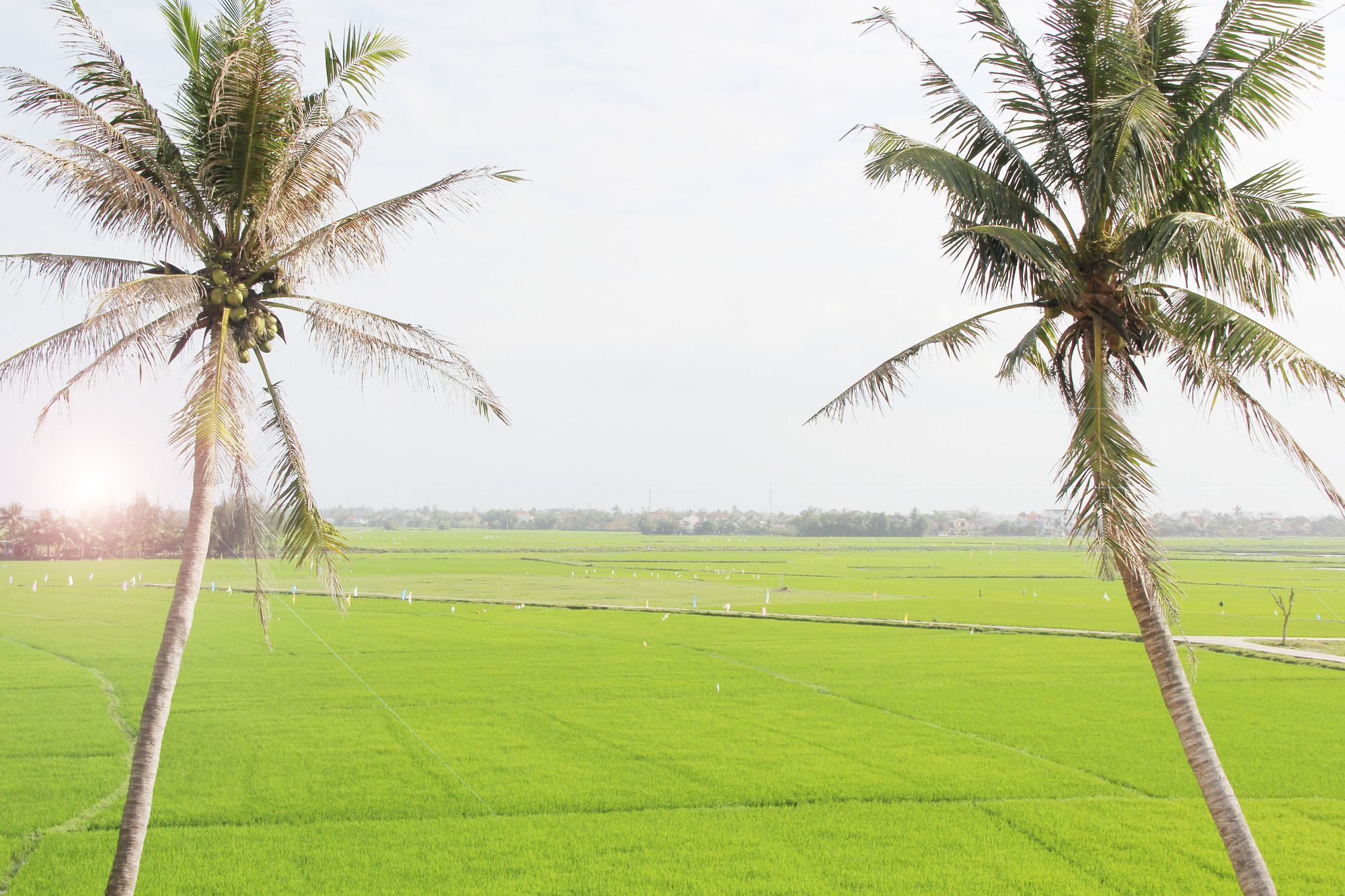 Hoi An Four Season Villa מראה חיצוני תמונה